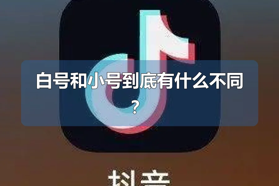 白号和小号到底有什么不同?