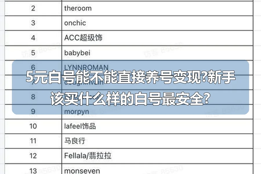 5元白号能不能直接养号变现?新手该买什么样的白号最安全?