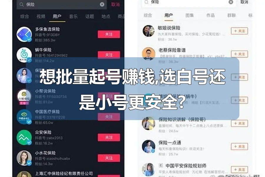 想批量起号赚钱,选白号还是小号更安全?