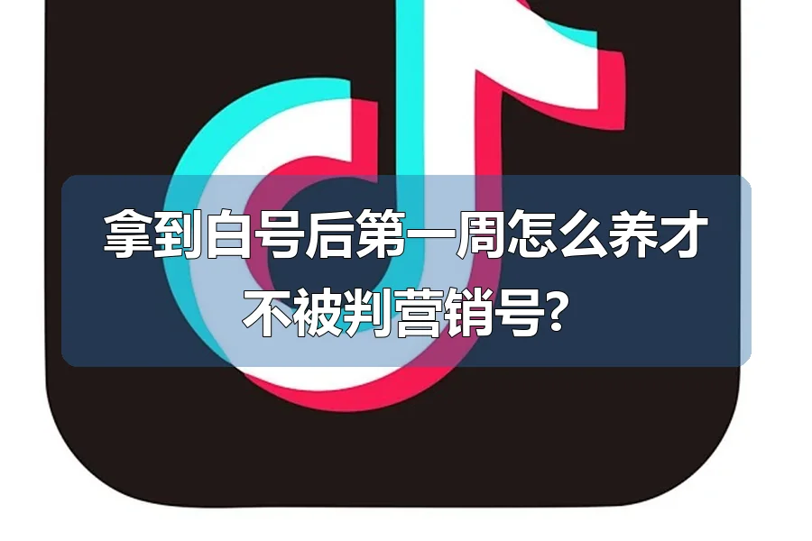 拿到白号后第一周怎么养才不被判营销号?